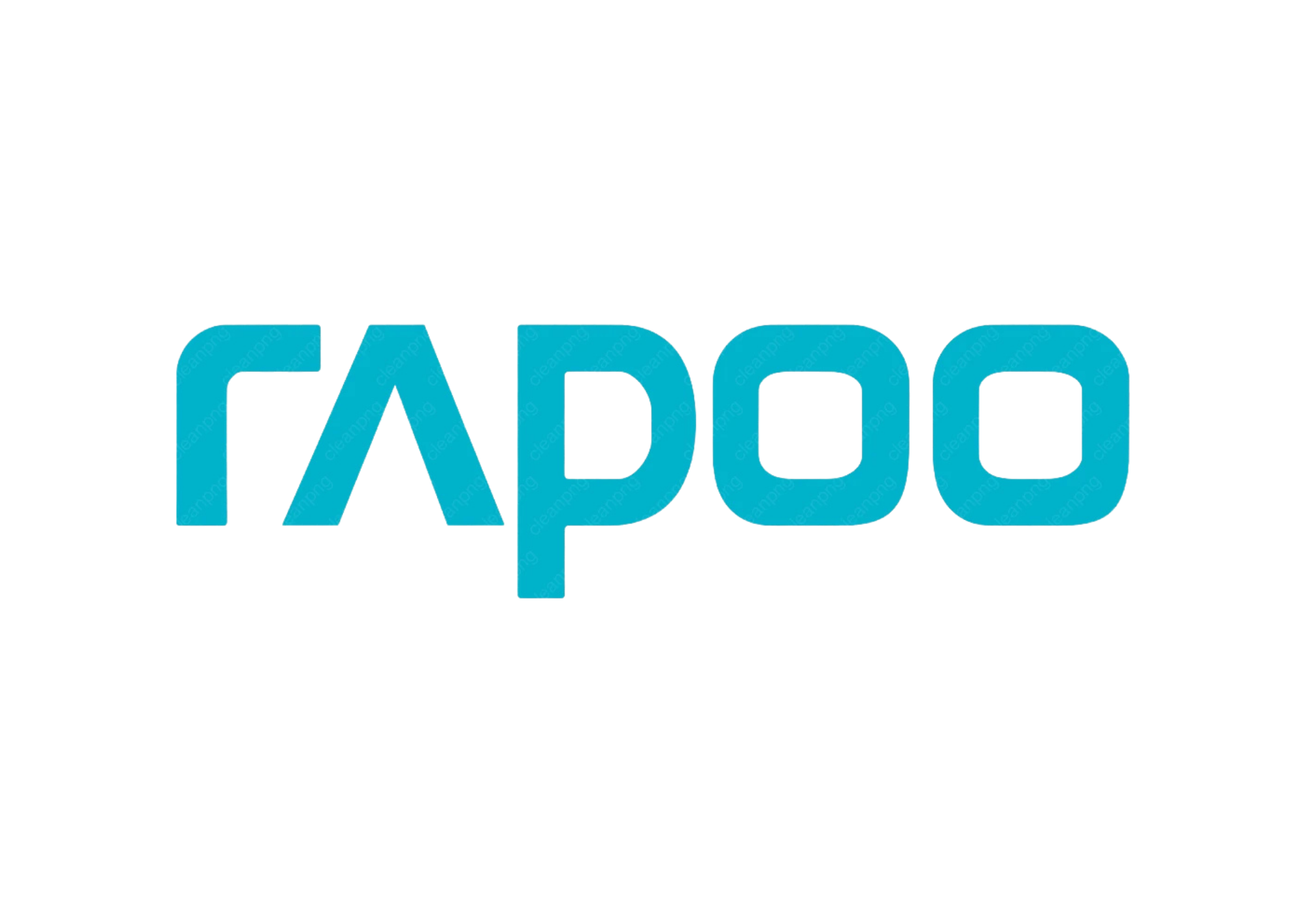 rapoo rapoo